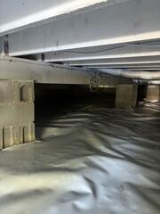 Level the Field & Vapor Barrier