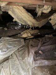 The crawl space was in complete disarray. The insulation was falling down due to the fact it was full of moisture, there was a bunch of debris scattered throughout the area, and it was very humid.