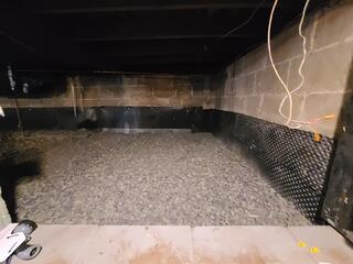 Damp Basement