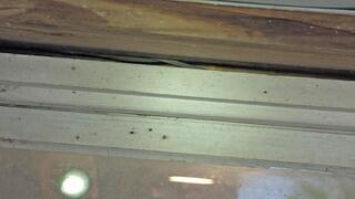 Not Too Small for Mice