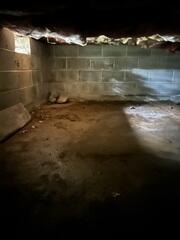 Damp Crawl Space