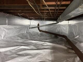 SilverGlo and CleanSpace