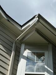 Fascia needs replacementq