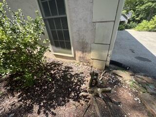 No gutter extensions