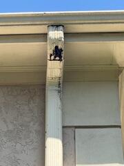 Meatl downspouts damaged