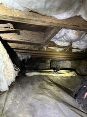 Damp and Nasty Crawl Space