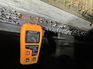 Moisture in the Crawl Space
