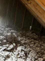 TruSoft to the Rescue