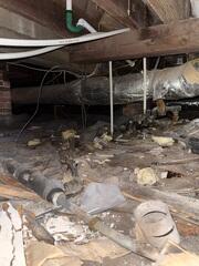 Can you believe that this was under a home!? This nasty crawlspace is in desperate need of some experts!