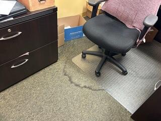 During heavy rains, water would leak inside so much that furniture and carpet would be damaged.