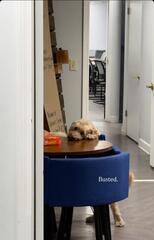 Caught Her in Action!