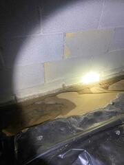 Crawl Space During Inspection