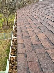 Before Andalusia, IL Gutter Guards