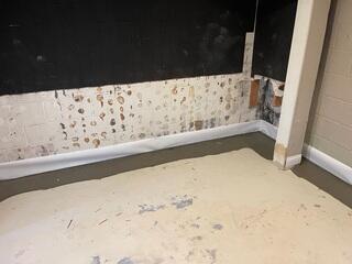 WaterGuard Drainage System