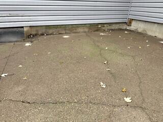 Cracked Patio Repair in Goose Lake, IA