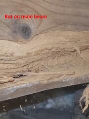 Wood rot on the main beam.