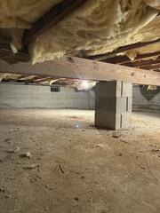 Almost every single piece of insulation throughout the crawl space was contaminated with urine and feces from the mice.