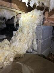 Crawl Space During Inspection