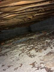 Crawl Space