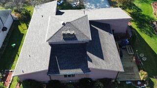 Shingle game strong!