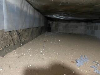 Damp, Exposed Crawlspace Conditions Before Repair