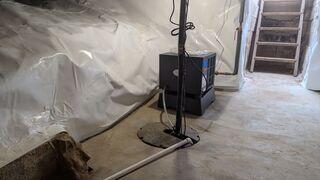 Musty Odors Eliminated