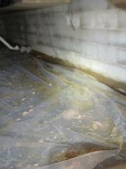 Crawl Space During Inspection