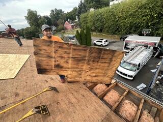 Bad Plywood Is Removed