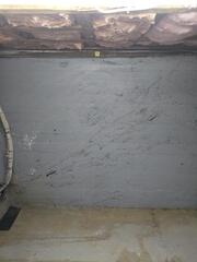 Before- Carbon Armor