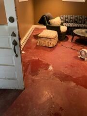 Damp Basement Conditions