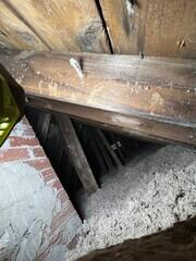 Fluffy and Dense TruSoft