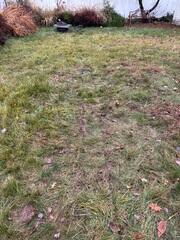 Buried Discharge Line