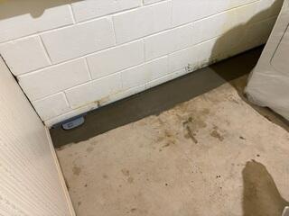 WaterGuard was installed to capture any seeping water and direct it to the sump pump for removal.
