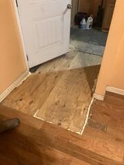 New Subfloor