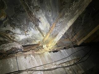 Rotted Joists