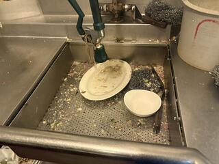 Fruit Flies Will Be Gone