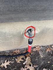 Set Up Our Bait Stations