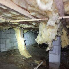 Crawl Space During Inspection