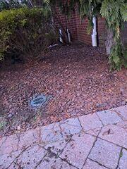 Buried Discharge Line