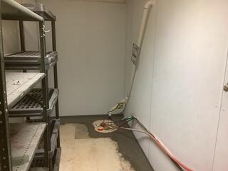 TripleSafe Sump Pump System