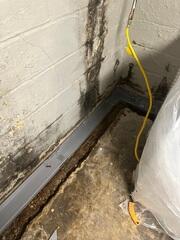 Installing WaterGuard