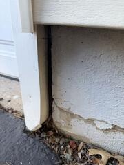 How the Mice Are Getting Inside in Sewaren, NJ