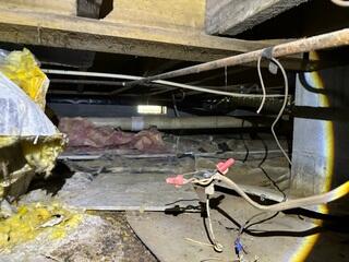 Crawl Space During Inspection