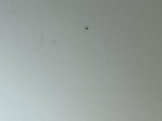 Treat Again Until They're Gone