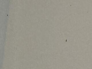 Once Things Were Removed