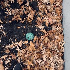 Now Comes Sentricon®