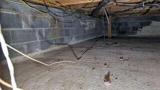 Crawl Space Encapsulation in Howell, NJ