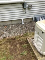 Discharge Line Freeze Prevention