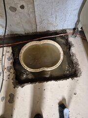 Project in Action- TripleSafe Sump Pump