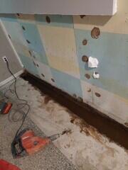 Project in Action- WaterGuard